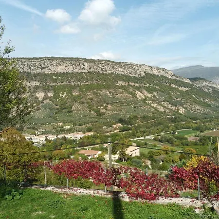 Le Vieil Olivier *